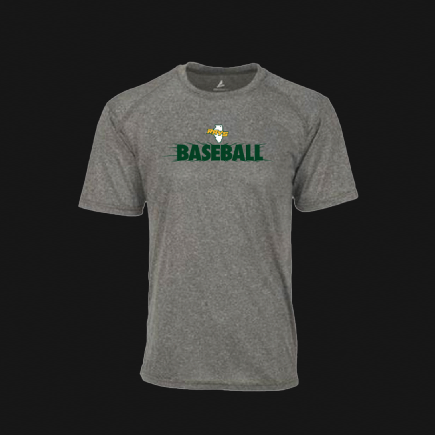 BSN Youth Grey T-Shirt- Rays IL Logo 155